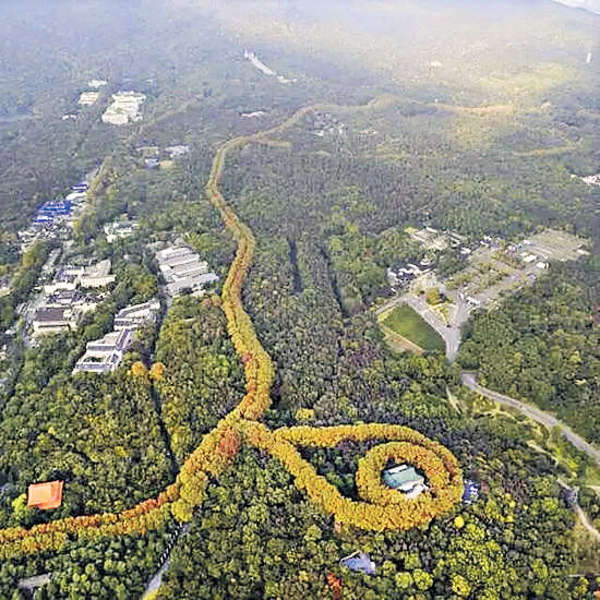 南京「最美項鏈」熱爆網