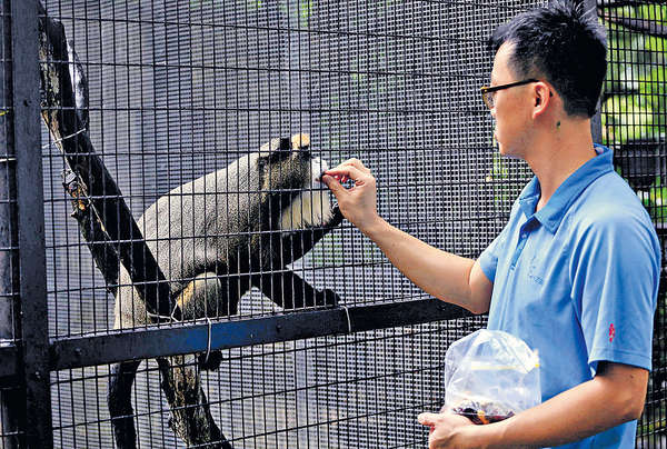 動植物公園 飼養員分享心得