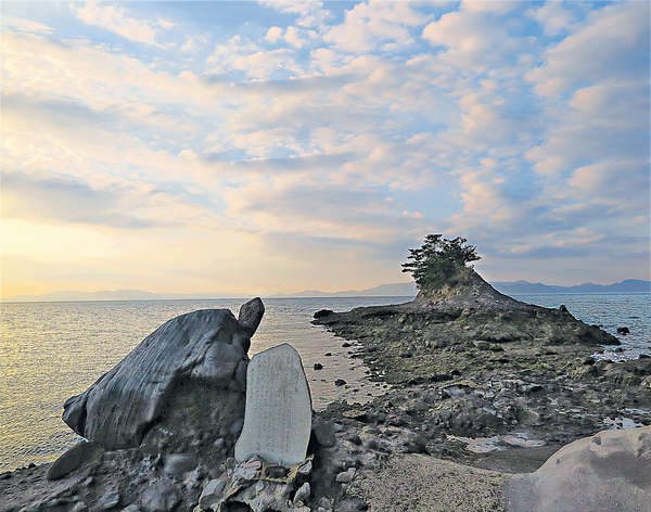 春遊熊本水俁 賞粉櫻泡名湯