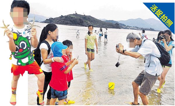 團友玩殘海星 生態遊反毁生態