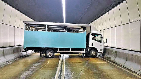 運魚車跣胎 橫堵將軍澳隧道