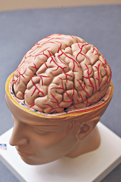 老年身高縮水 或因失智症