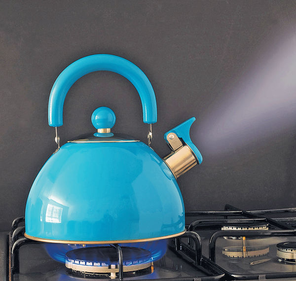 翻煲食水會致癌？ 水煲質料先關鍵