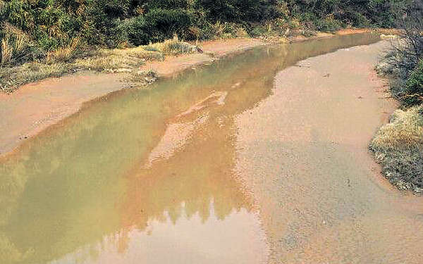 東江源頭重污染 「毒水」難飲用