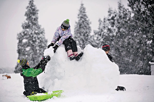 西雅圖暴雪 10萬戶停電