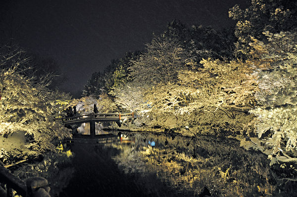 日本三重隆 燈影夜雪美出塵