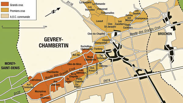 2小時精讀 Gevrey-Chambertin
