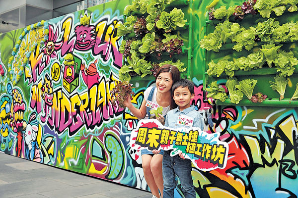 春天駕臨 觀花賞綠學種植