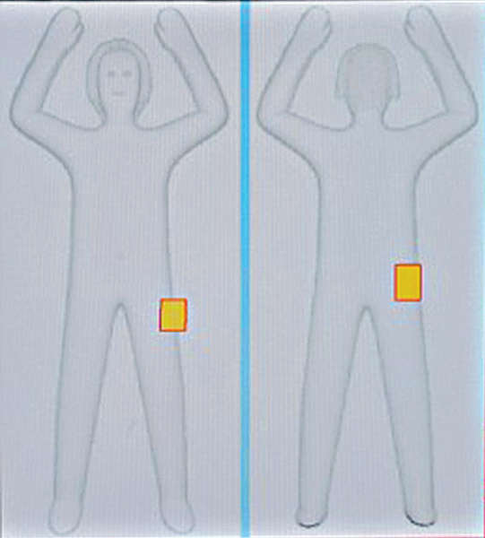 美國機場全面撤「裸檢」