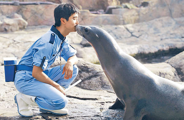 實現童年心願 與海獅結不解緣