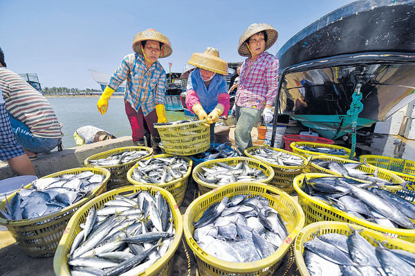 休漁期延長一個月 部分魚料升價5成