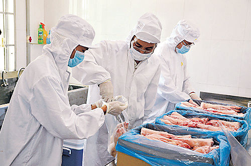 加拿大輸華豬蹄 驗出瘦肉精