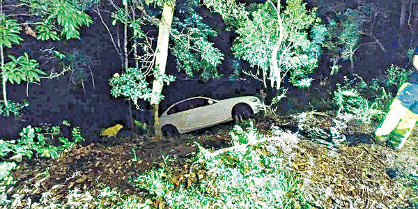 大帽山私家車墮坡