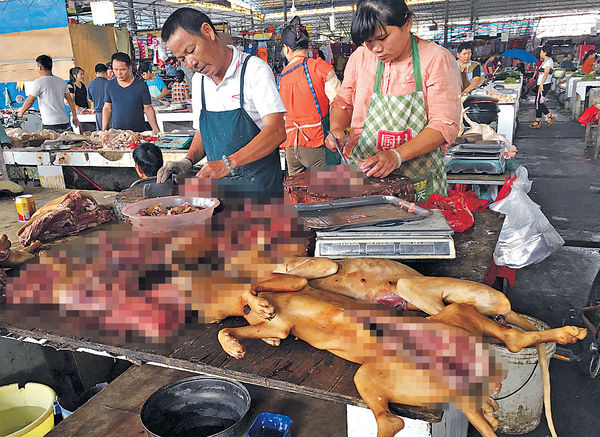 玉林狗肉節開鑼 警員戒備維穩