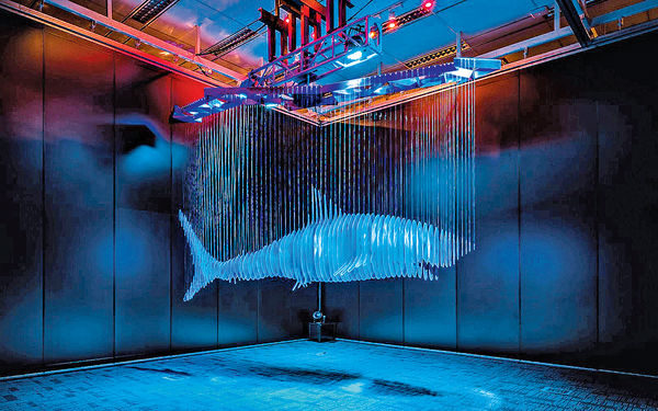 鯊魚當代藝術展