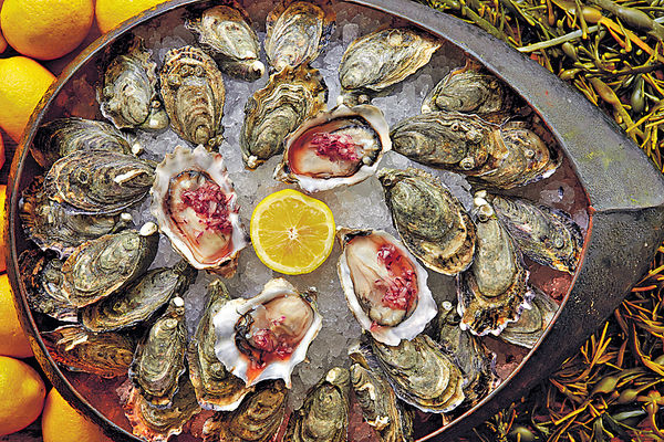 酒店自助餐 壽星免費