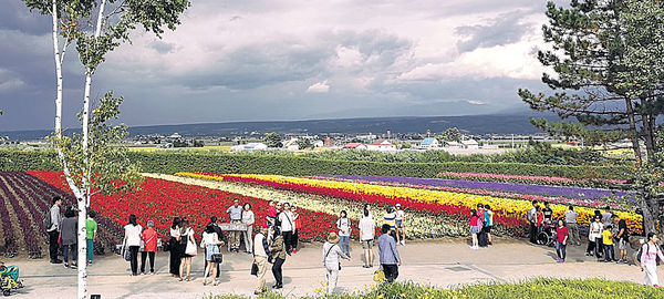 夏日北海道