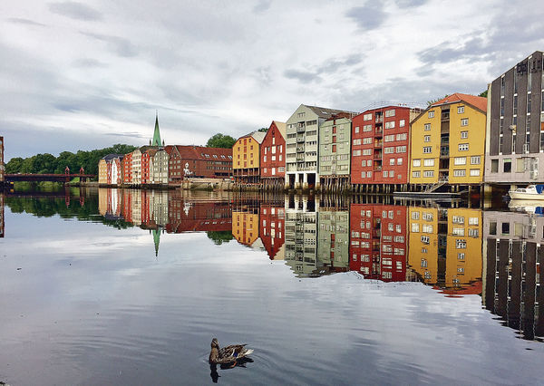 挪威著名美食天堂Trondheim
