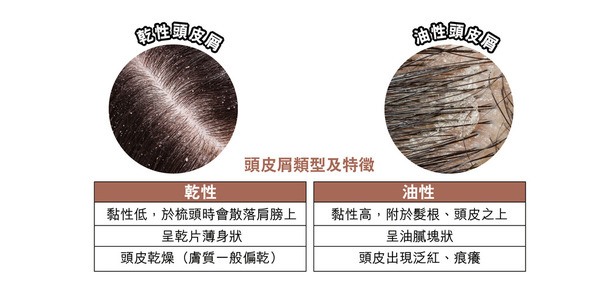 向 雪花 說不拆解頭皮謬誤 晴報 生活訊息 D1717