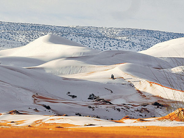 撒哈拉沙漠下雪 40厘米積雪蓋黃沙