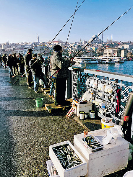 伊斯坦堡釣魚樂