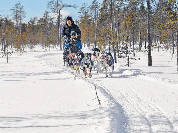 坐雪橇 闖芬蘭冰雪國度