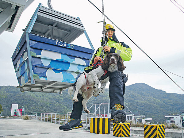 消防搜救犬 攀山涉水尋失蹤者