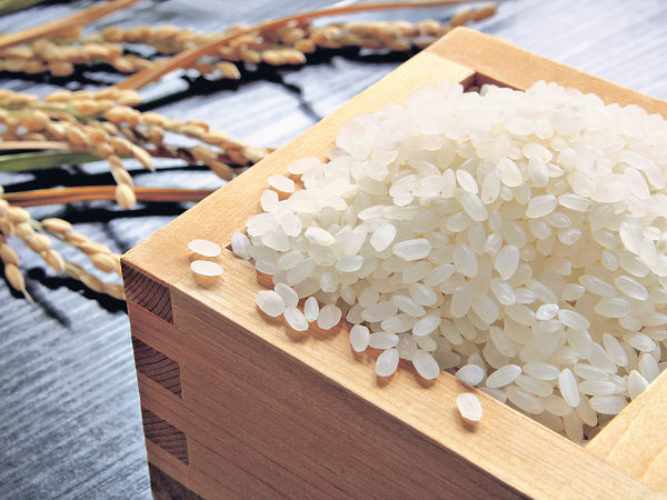 亞洲十大超級食物（第七位）︰稻米