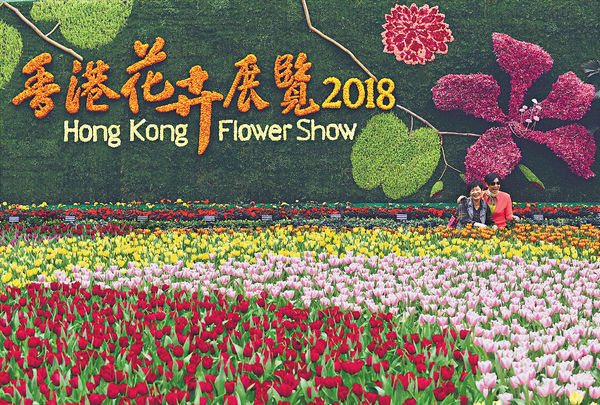 40萬株花維園綻放 5000盆展後免費派