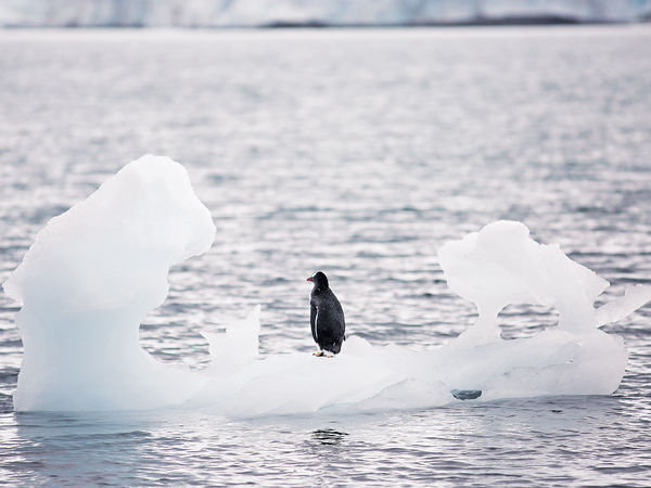 南極冰川融化加速3倍 每年2千億噸冰消失