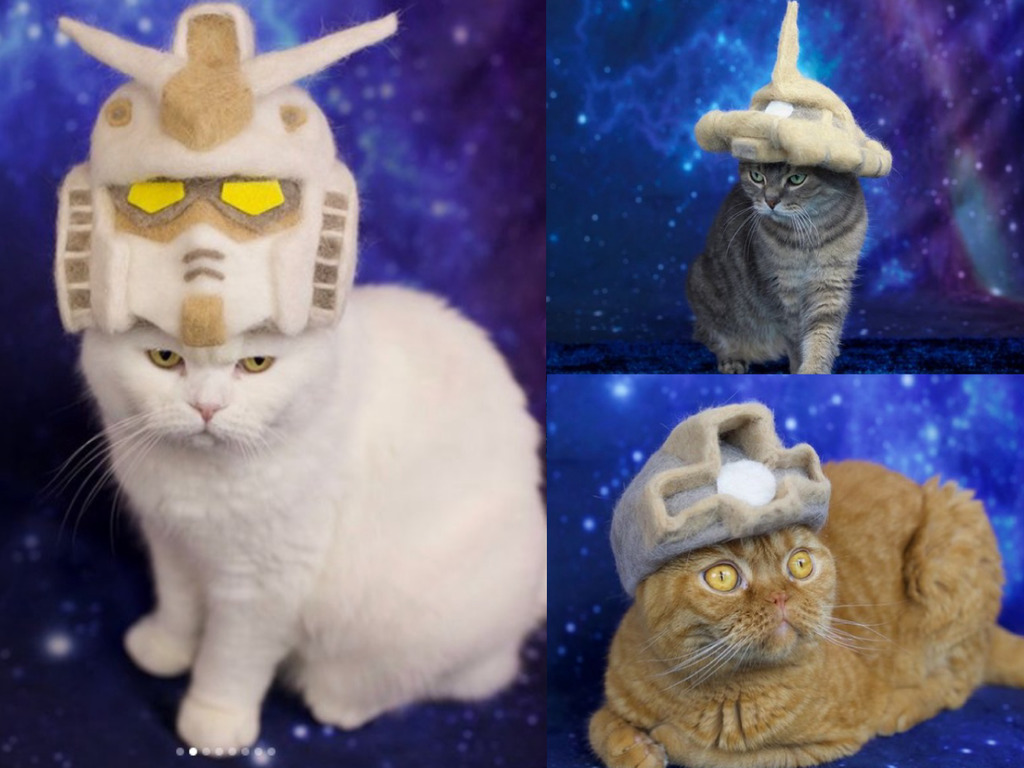 高達貓奴自製 貓毛高達頭 貓貓秒變 起毛戰士 Ezone Hk 遊戲動漫 動漫玩具 D