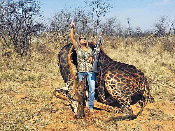 射殺長頸鹿捱轟 女獵人竟稱動物無權利