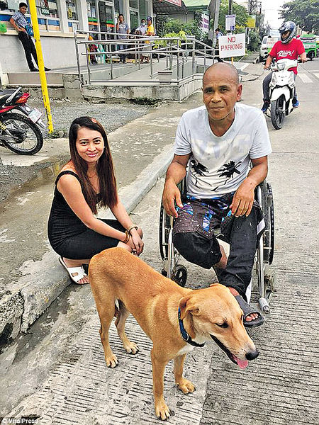 菲忠犬不離不棄 為癱瘓主人推輪椅