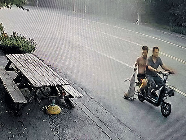 外勞捉寵物狗做烤肉 台網民鬧爆