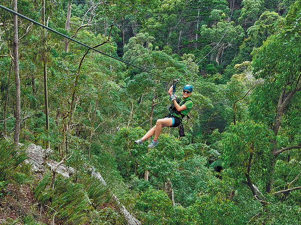 澳洲坦伯林山 激玩飛索 穿越叢林