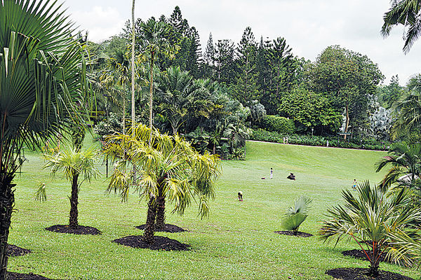 新加坡世界遺產植物園