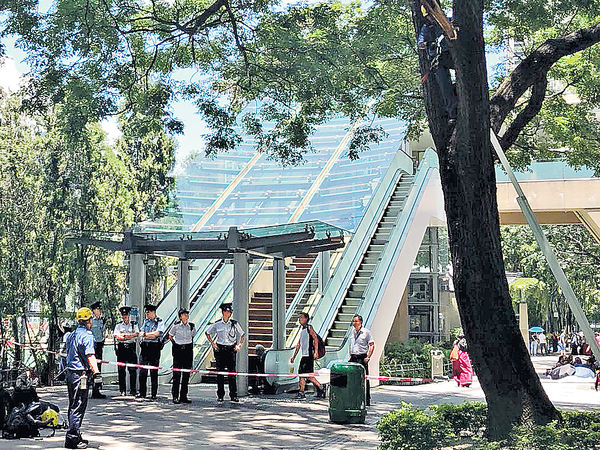 維園15米大樹折椏 擊傷2印傭