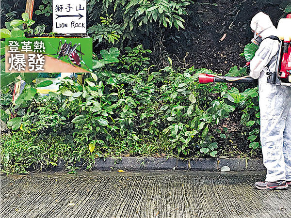 登革熱9日19宗 學校防疫恐失守