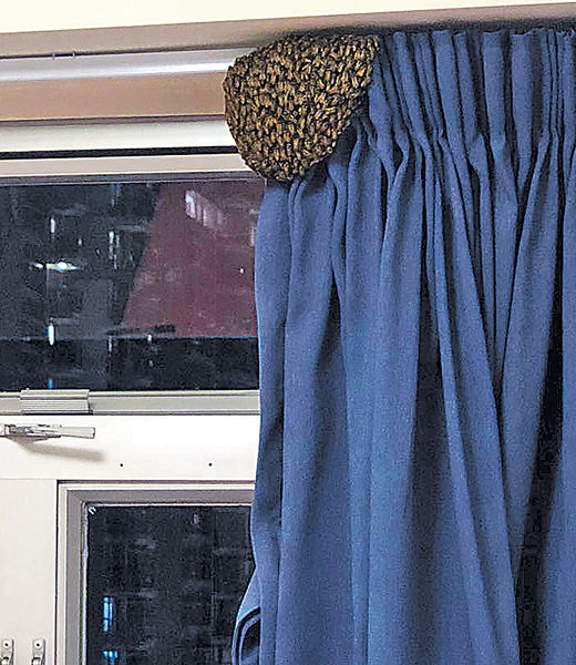 群蜂入屋 貿然驅趕易惹攻擊