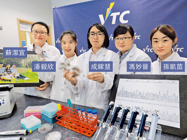 IVE愛貓畢業生 研貓毛測遺傳病