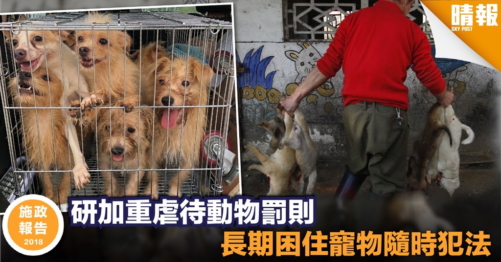 【施政報告2018】研加重虐待動物罰則 要求主人謹慎照顧寵物
