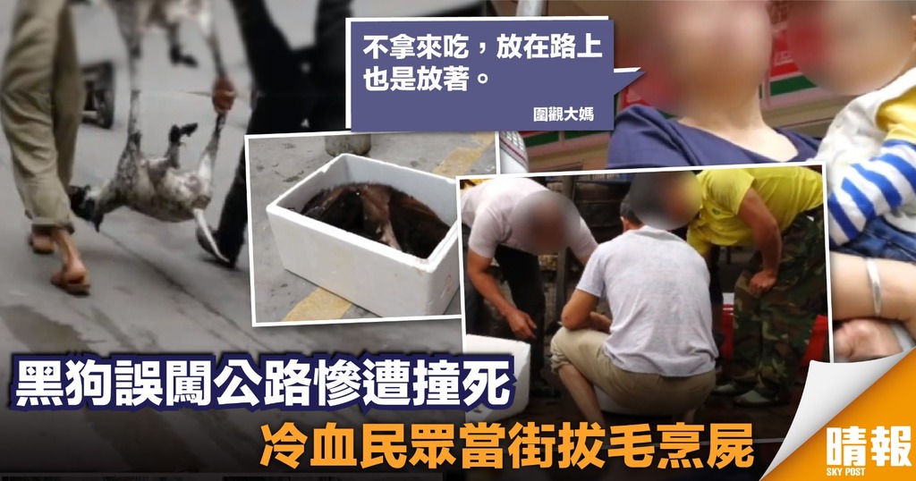 黑狗被撞死後遭當街拔毛烹煮 圍觀大媽：不吃放在路上也是放著