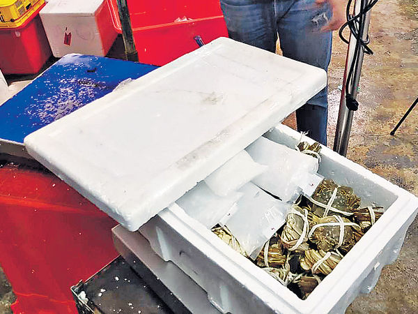 台檢測15噸內地大閘蟹 含超標二噁英
