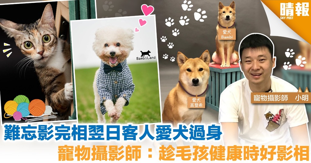 男客不愛拍照 為愛犬影全家福 寵物攝影師：狗仔變咗家人溝通橋樑