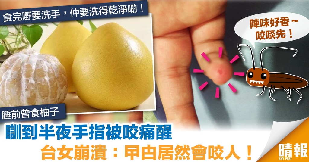 台女半夜手指被咬到痛醒 起身發現元凶竟是曱甴