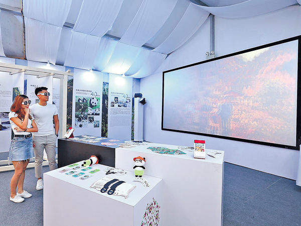 深入汶川臥龍保護區 海洋公園推出大熊貓生態團