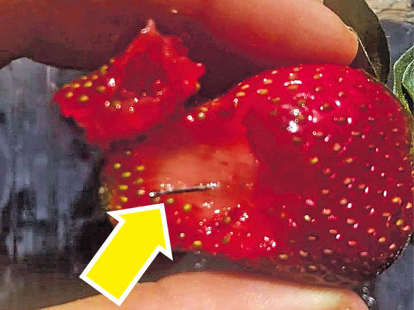 澳洲水果藏針事件 50歲女子涉案被捕