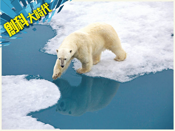 追蹤北極熊 研究全球暖化