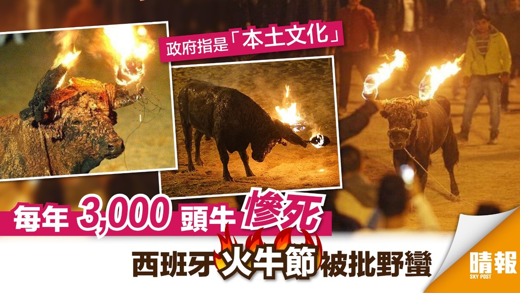 西班牙「火牛節」每年火燒3,000 頭牛被批野蠻不人道