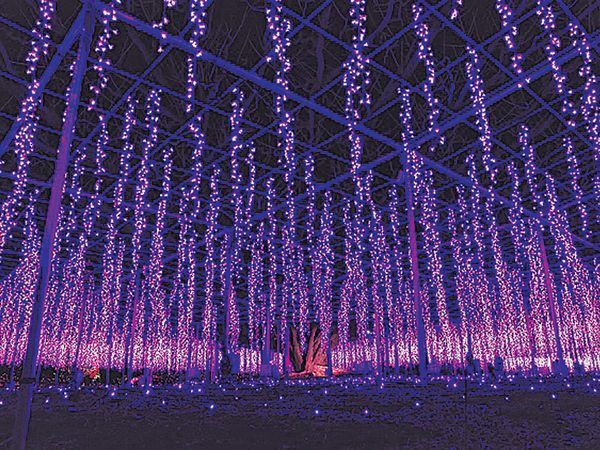 日本10大最強 聖誕燈飾巡禮